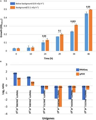 Deinococcus radiodurans UWO298 Dependence on Background Radiation for Optimal Growth